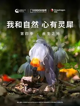 《我和自然 心有灵犀》第四季 - 共生之地：探索生命的奇妙连接，感受自然的和谐共舞